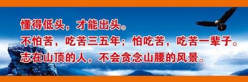 kaiyun官方网站:卡特323挖机多少钱一台(卡特323新挖机多少钱一台)
